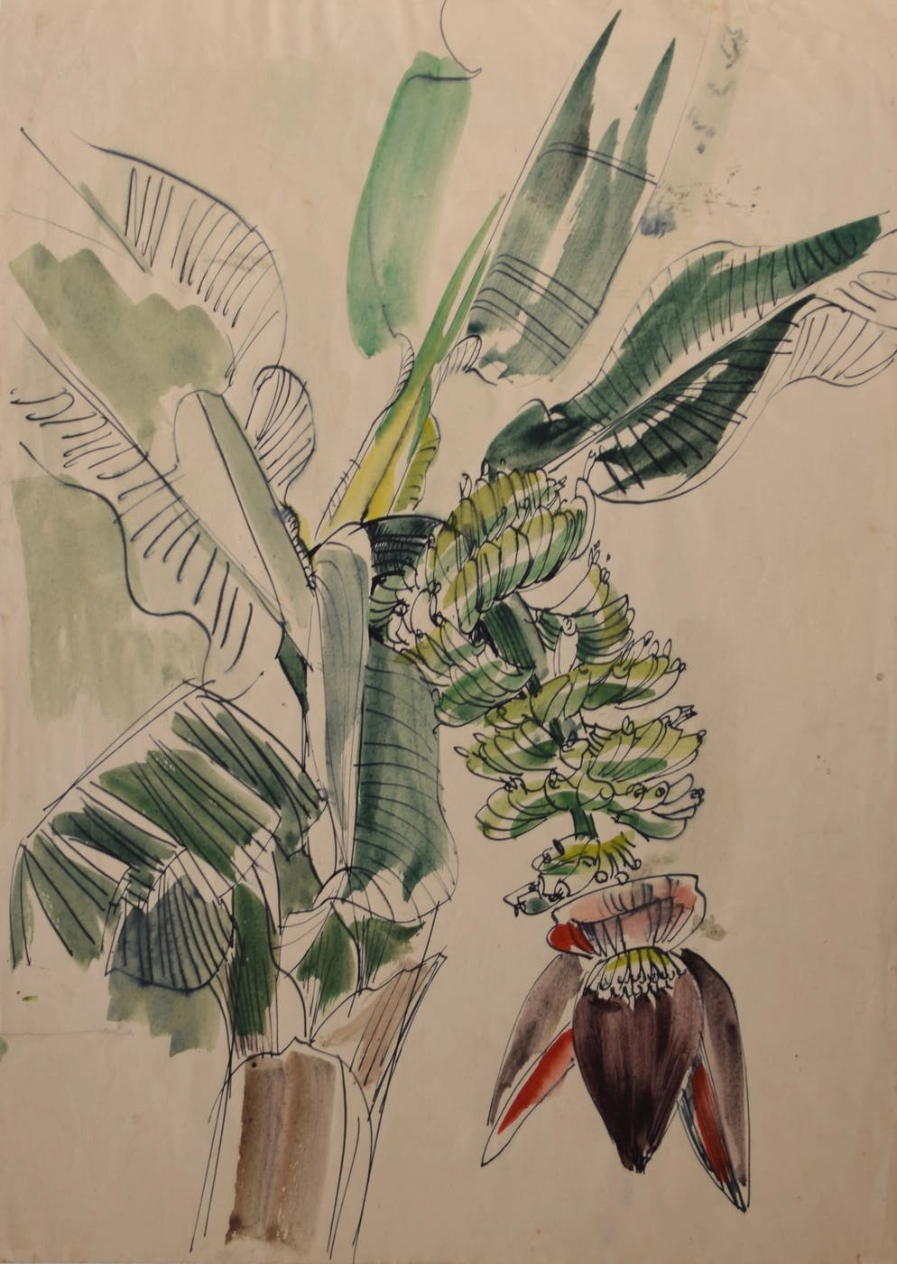 Pflanzenstudie – Erich Schickling